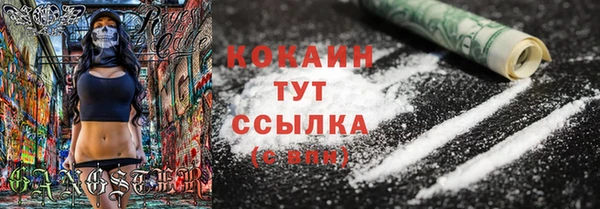 индика Каменка