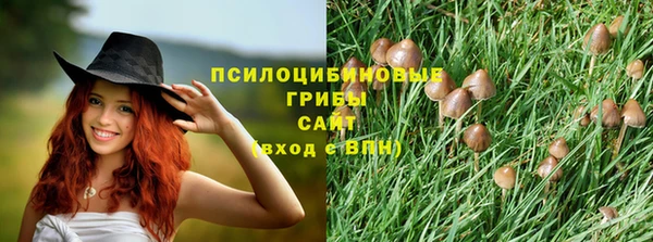 mix Алексеевка