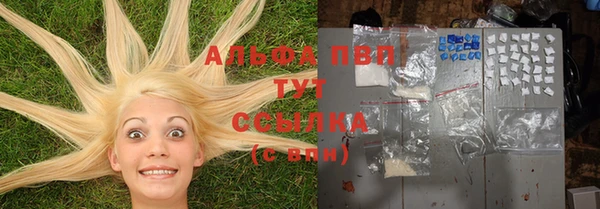 эйфоретик Алексин