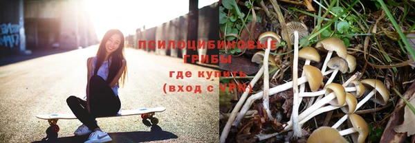 эйфоретик Алексин