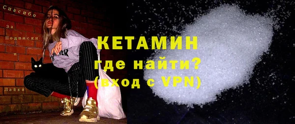 индика Каменка